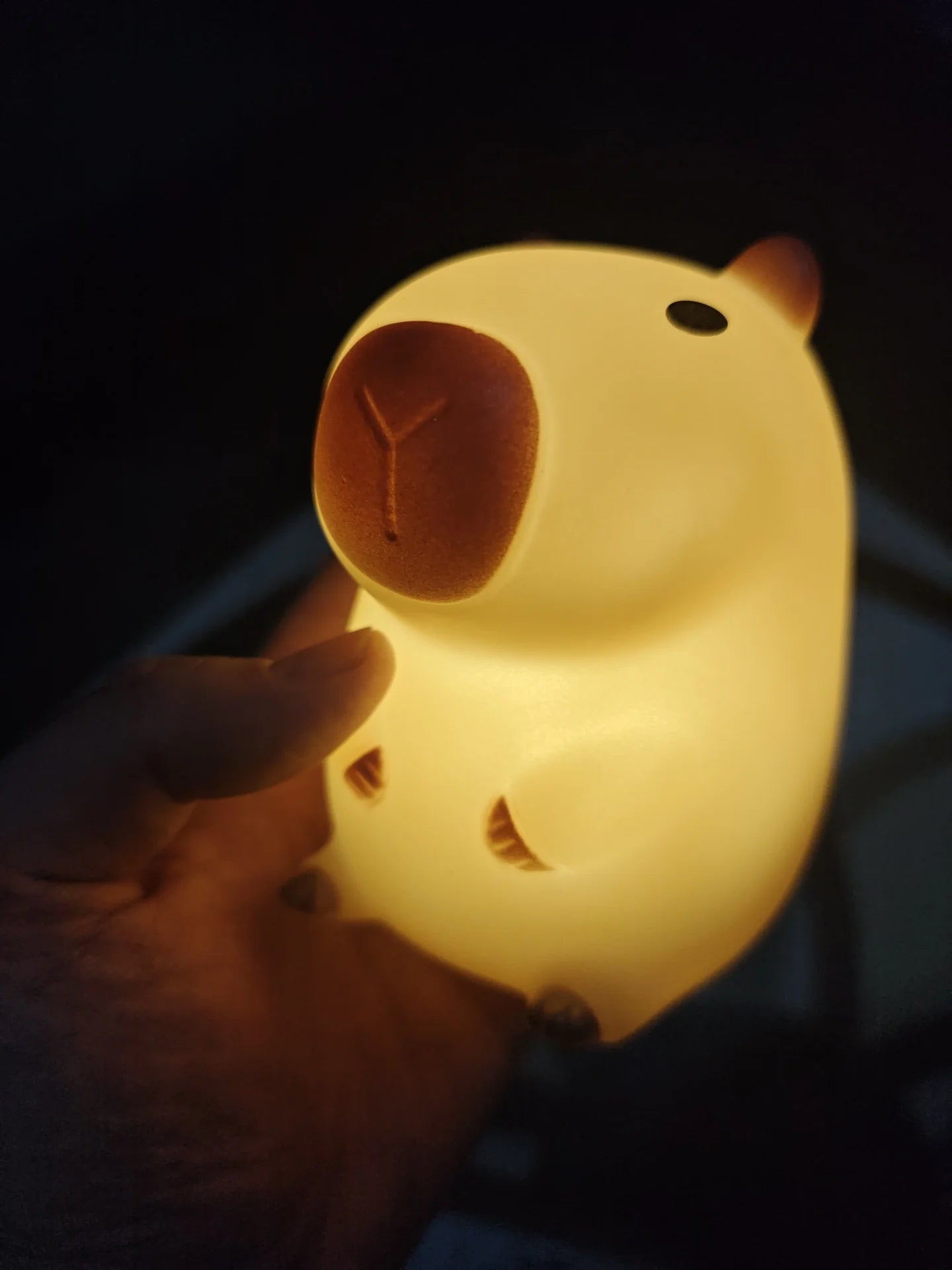 Cute Capybara Night Light