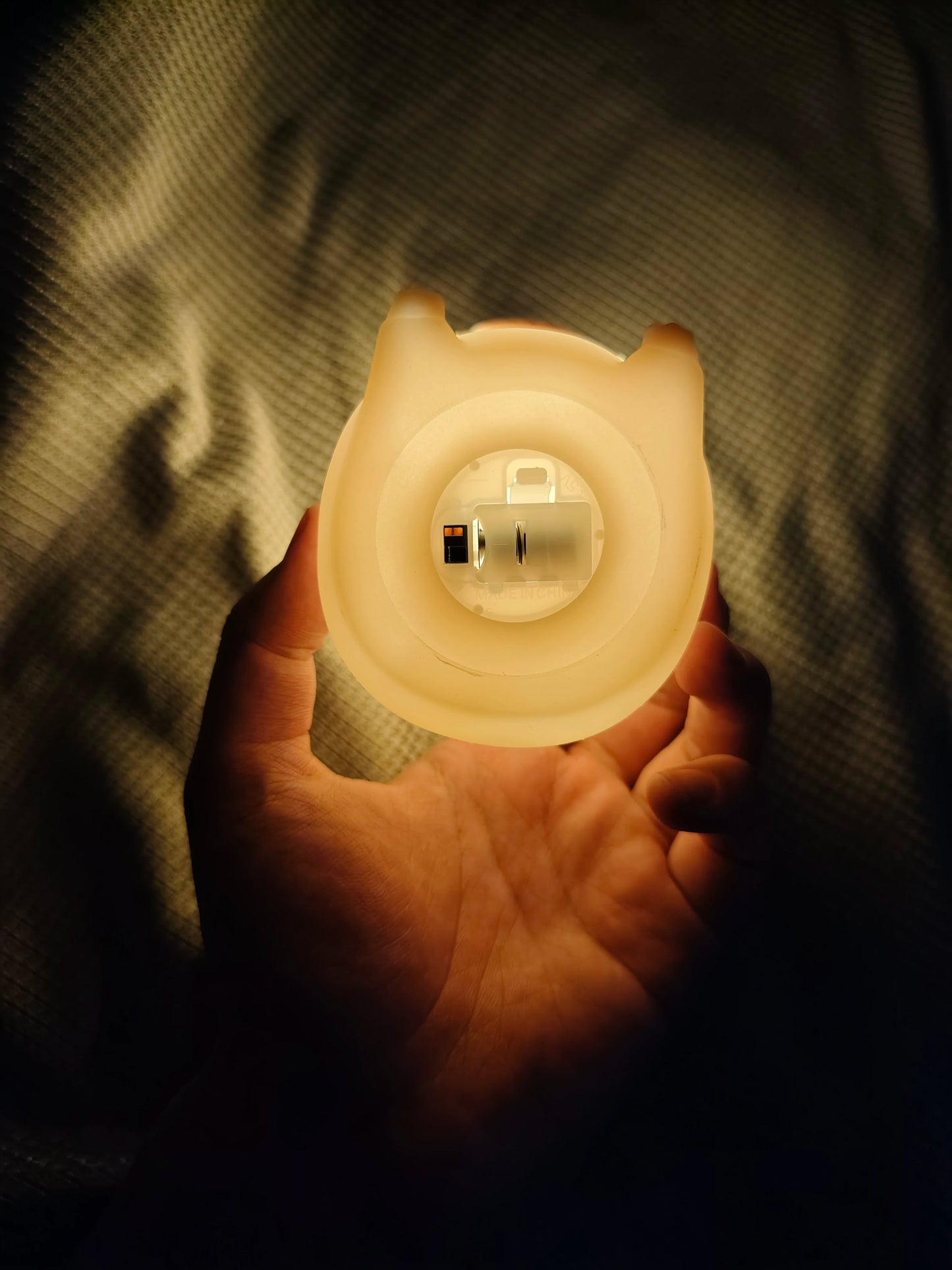 Cute Capybara Night Light